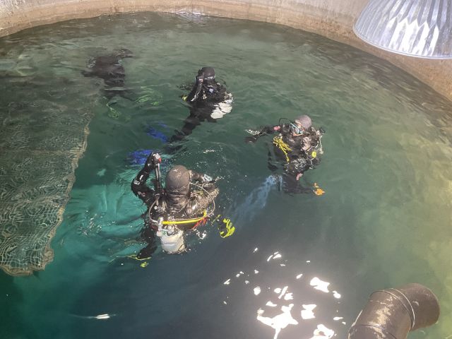 Taucher:innen im Tauchturm Basel