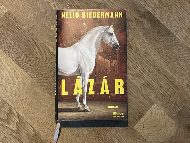 Ein Buchcover mit einem Schimmel und gelber Schrift Lázár, Roman von Nelio Biedermann
