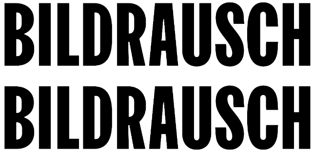 Logo Bildrausch
