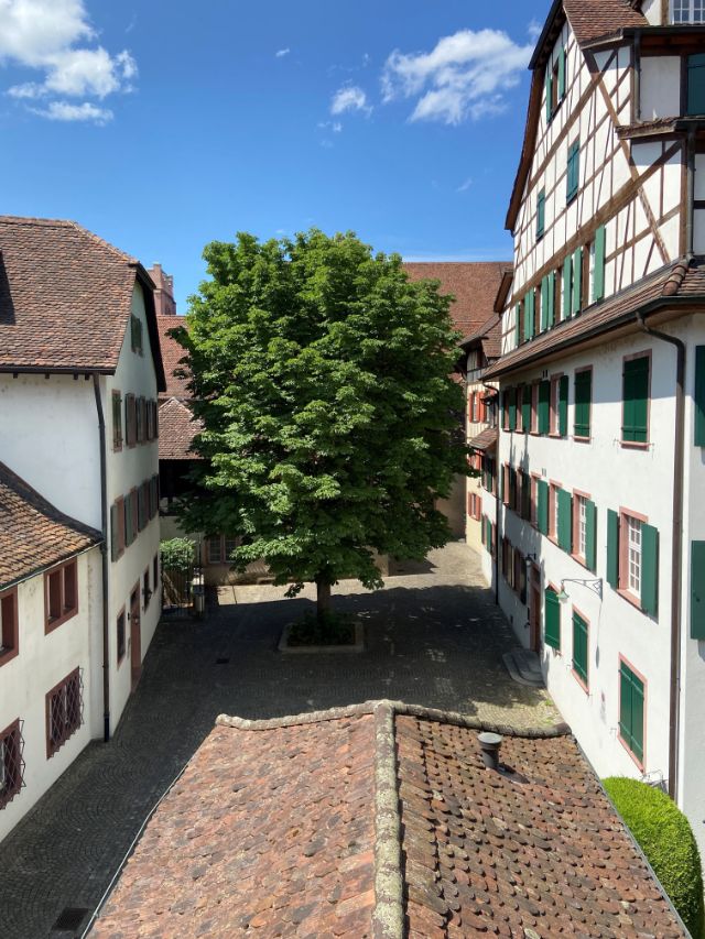 Aussicht vom Museum in den Innenhof Klingental.