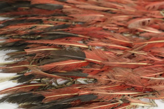 Rot-schwarze Federn bilden das Fundament eines indigenen Capes. Nahaufnahme