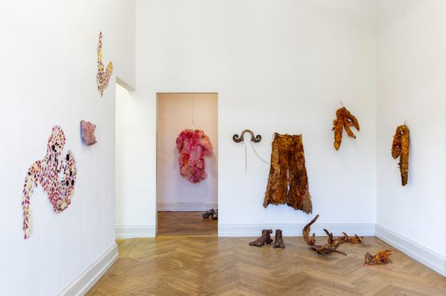 An der linken Wand sind gepresste Blütenblätter in Silikon. Geradeaus sind zwei Outfits. Ein rosanes Kleid und ein ein Outfit mit Hörnern, Klauen, Hosen, Accessoires, welche aussehen als wären sie aus Häuten gemacht.