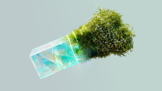Ein blau schimmerndes Rechteck, symbolisch für Technologie, aus dem grüne Pflanzen spriessen.
