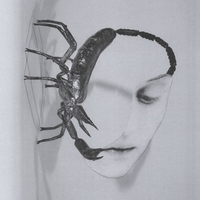 Albumcover: Touch von Tortoise