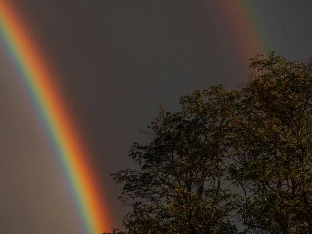 Bild psychische Gesundheit queer Csankovszki Tibor