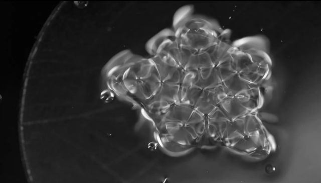 Ein Bild in Graustufen, darauf eine Flüssigkeit die Blasen bildet und aussieht wie eine sich teilende Zelle