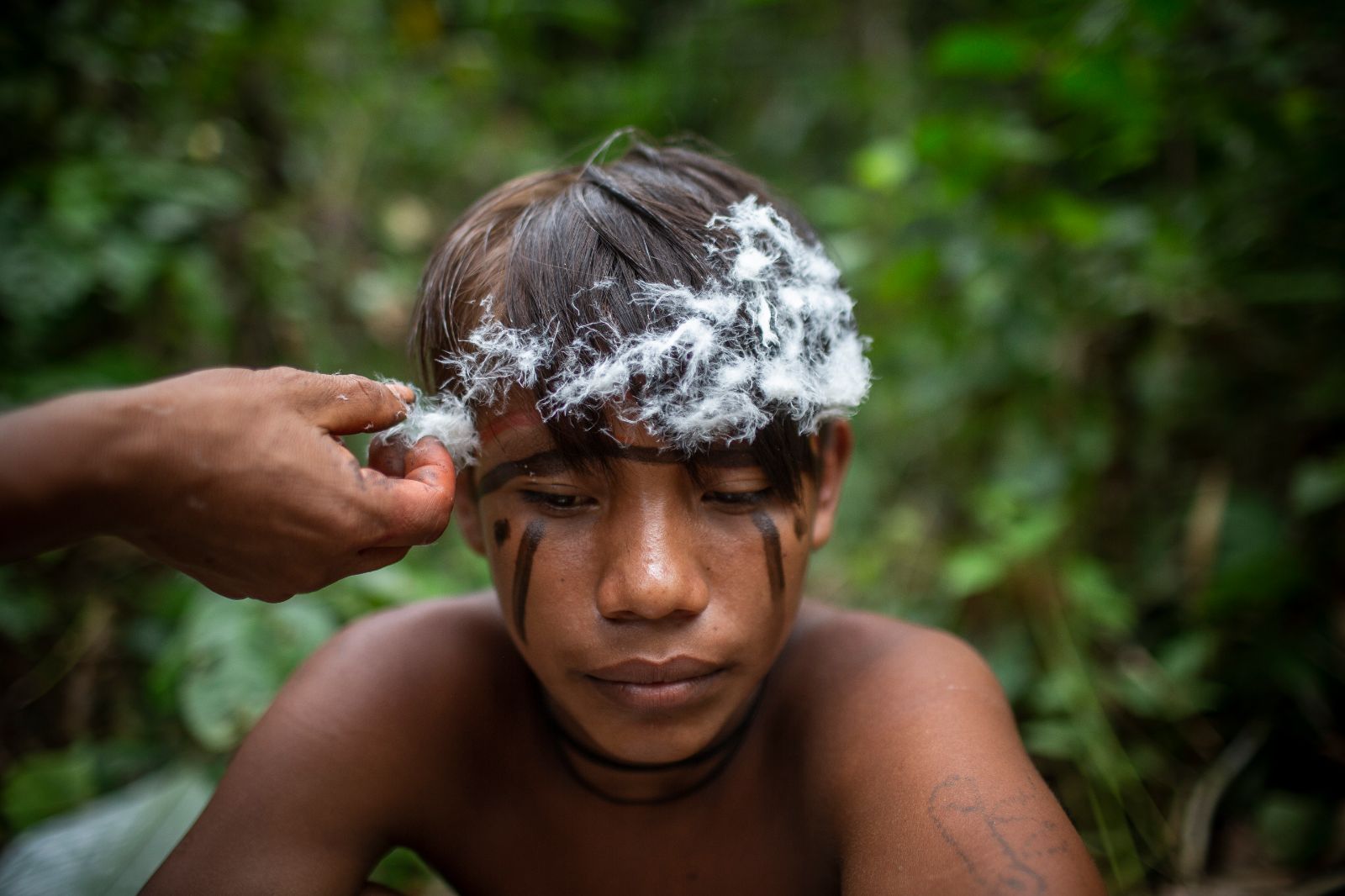 The beautiful and sad truth of the Amazon - Archyworldys